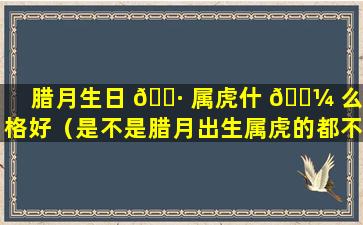 腊月生日 🕷 属虎什 🌼 么命格好（是不是腊月出生属虎的都不好）